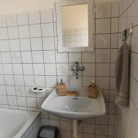 Ve Mlejne 公寓式酒店 4*